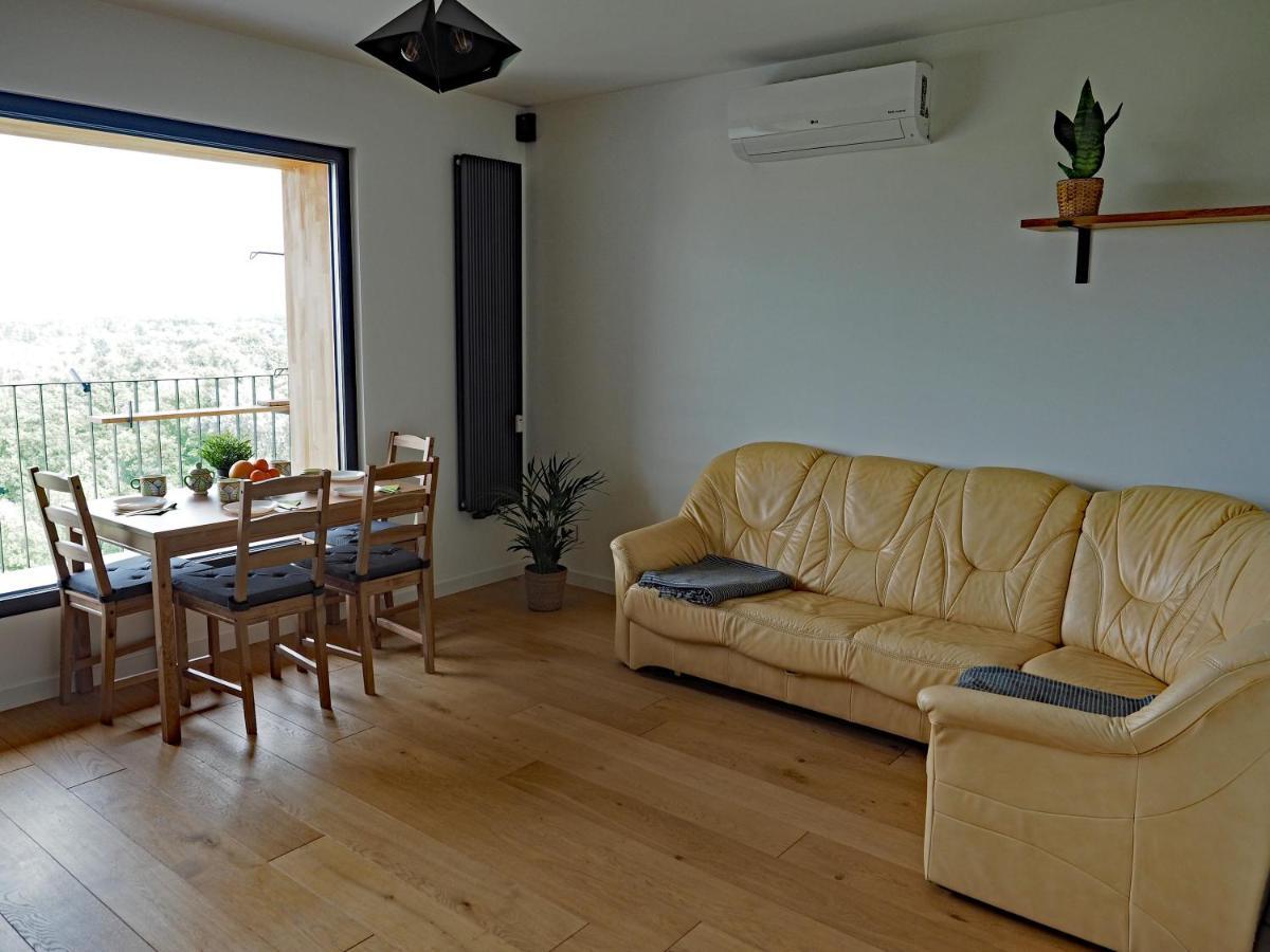 Appartement Debina Z Widokiem à Poznań Extérieur photo